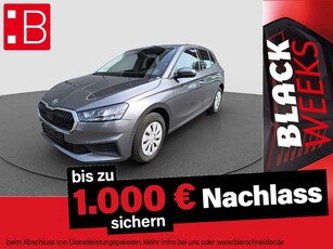 Skoda Fabia1,0 TSI Active PDC SMART LINK SITZHEIZUNG BT