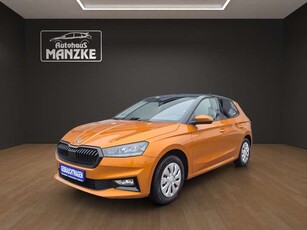 Skoda Fabia1.0TSI Ambition / Color Concept / Bolero / SHZ