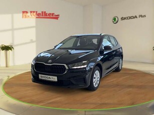 Skoda FabiaActive 1.0 MPI EU6d *LED*SmartLink*Winterpaket*