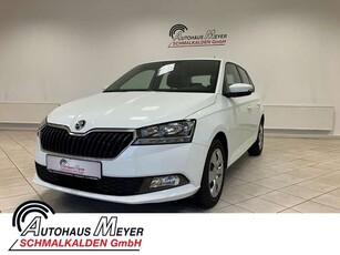 Skoda FabiaCool Plus 1.0 MPI +Sitzheizung+Klima+PDC+DAB+