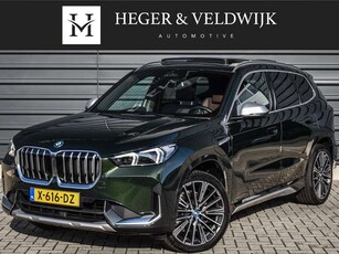 BMW X1xDrive25e | NL-AUTO | LUXURY LINE | PANORAMADAK |