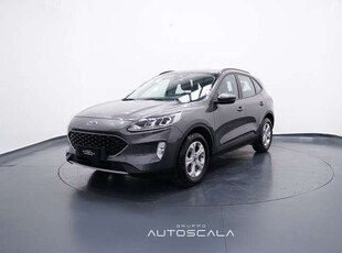 Ford Kuga1.5 EcoBlue 120cv 2WD Titanium Business