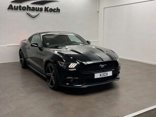 Ford MustangMUSTANG 3.7 COUPÉ XENON-20