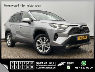 Toyota RAV 42.5 Hybrid AWD 360 Leer+koeling Pano.dak Carplay T