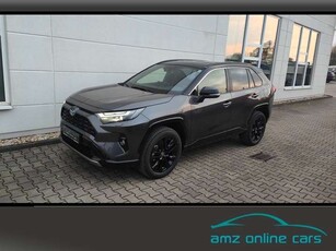 Toyota RAV 44 2.5 Style MJ24 Smart Entry*Leder*Totwinkel