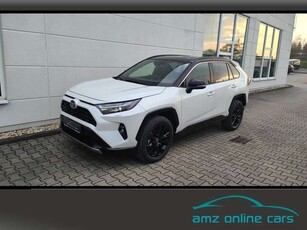 Toyota RAV 44 2.5 Style MJ24 Smart Entry*Leder*Totwinkel