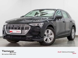 Audi e-tron50 Q AHK KAMERA VIRTUAL LM19