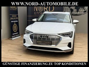 Audi e-tron50 QU.Pano*Matrix LED*Kamera*20