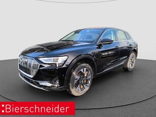 Audi e-tron55 quattro advanced 20LM NAVI LED SITZH DSP