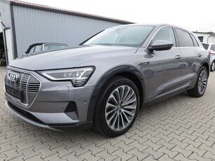 Audi e-tron55 quattro advanced Vollleder