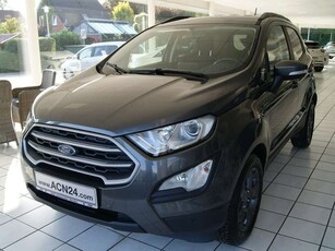 Ford EcoSportCool & Connect Navi-Kamera