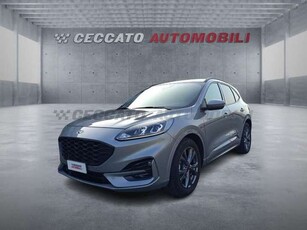 Ford KugaKuga 2.0 ecoblue ST-Line 2wd 120cv auto