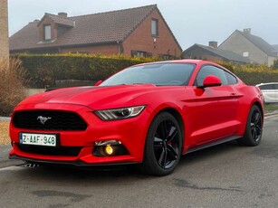 Ford Mustang2.3 EcoBoost @@ RECARO @@ Moteur neuf 8.800 km @@