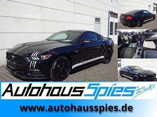 Ford Mustang3,8 V6 US-Import Aut. Alu19 Nav RKam Tmat Shz