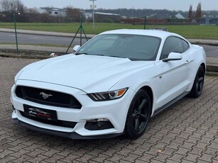 Ford MustangCoupe V6 3,7L 305 PS