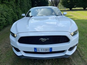 Ford MustangFastback 2.3 ecoboost auto