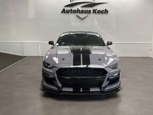 Ford MustangMUSTANG 2.3 ECOBOOST SHELBY MIT BRACHIALER OPTIK