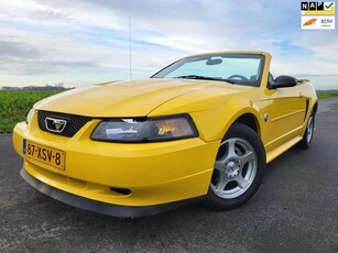 Ford MustangUSA 3.8 V6 Convertible Cabrio