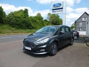 Ford S-Max2.0, Navi, RFK, Temp., Business-Pa