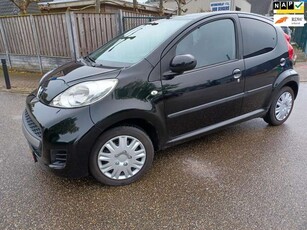 Peugeot 1071.0-12V Black & Silver