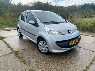 Peugeot 1071.0-12V XR