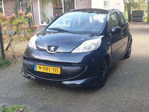 Peugeot 1071.0-12V XR