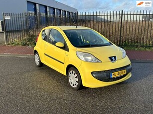 Peugeot 1071.0-12V XR