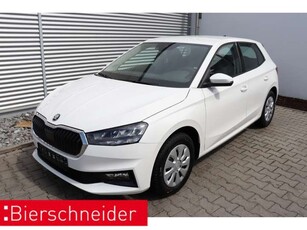 Skoda Fabia1.0 MPI Selection LED PDC SHZ SMART-LINK