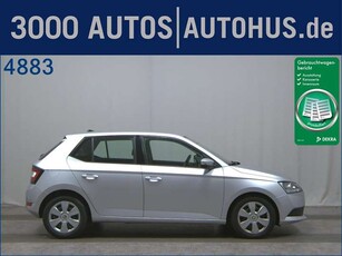 Skoda Fabia1.0 TSI PDC DAB