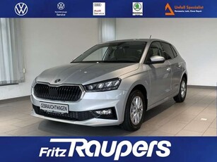 Skoda Fabia1.0 TSI Selection +SHZ+PDC+Tempomat