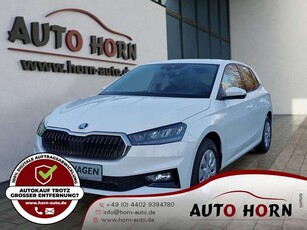 Skoda Fabia1.0 TSI*Selection*SHZ*Klima*PDC*LED*SOFORT