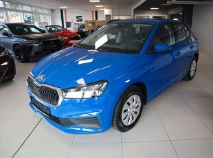 Skoda FabiaActive/KLIMA/LED/ALLWETTER/DAB