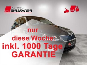 Skoda FabiaAmbition 1.0 MPI Sperrdiff. Klimaautom DAB SHZ Not