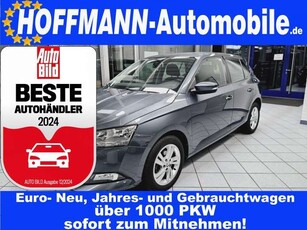 Skoda FabiaAmbition Kamera,Klima,App-Connect,PDC,SH