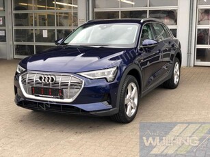 Audi e-tron50 Quattro AHK Standhzg.