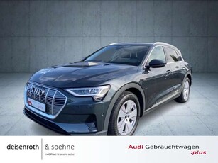 Audi e-tron50 quattro Nav/LED/Luft/Assist/StandKlima/sound/Te