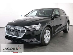 Audi e-tron50 quattro Navi,LED,PDC,GRA