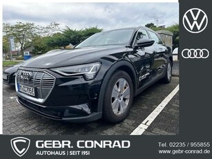 Audi e-tron50 quattro NP: 88.000 €