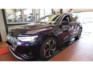 Audi e-tron50 quattro S line Pano+Connect+VitualCockpit+++