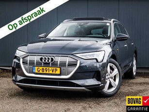 Audi e-trone-tron 50 quattro Launch edition plus 71 kWh (313