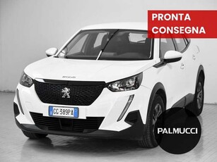 Peugeot 2008PureTech 100 S&S Active