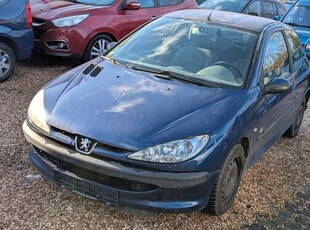 Peugeot 206Grand Filou Cool