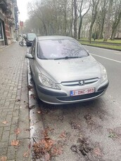 Peugeot 3071.6i 16v XR