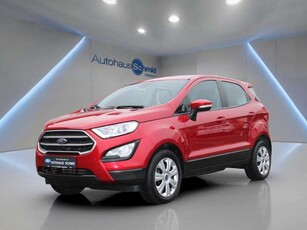 Ford EcoSportCool & Connect - Winter-Paket