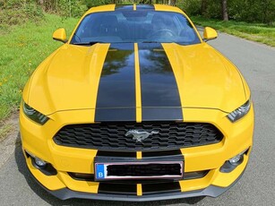 Ford MustangMustang 2.3 Eco Boost