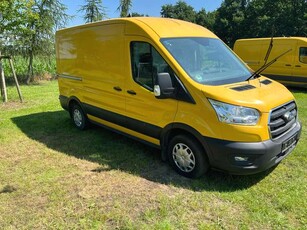 Ford TransitBJFB1ACX-2,0L- Ecoblüe Trend Wand Tür