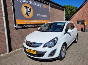 Opel Corsa1.2 EcoFlex Design Edition LPG (klepstoter lawaai)