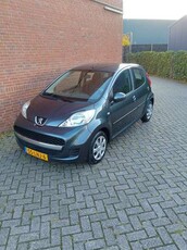 Peugeot 1071.0-12V XS